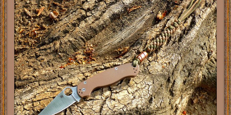 Brown Para 2 S35VN ~ Spyderco Limited Edition