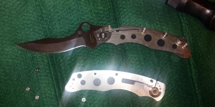 Best Spyderco Knives