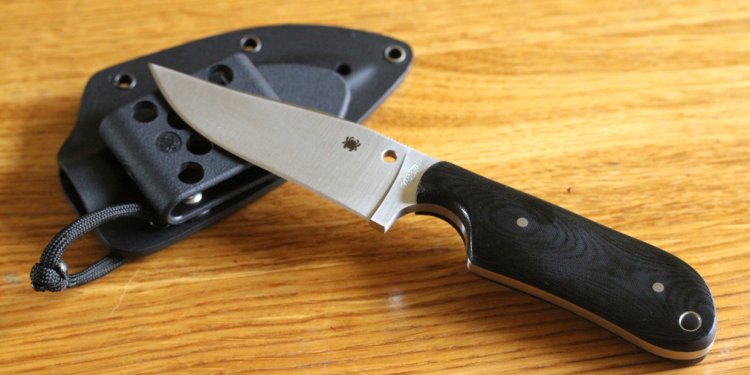 Spyderco Street Beat Review