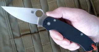 Paramilitary 2 size