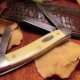 Case Medium Stockman