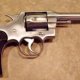 What is a Colt?