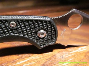 Spyderco Dragonfly 2 FRN Pocket Knife showing Torx screws
