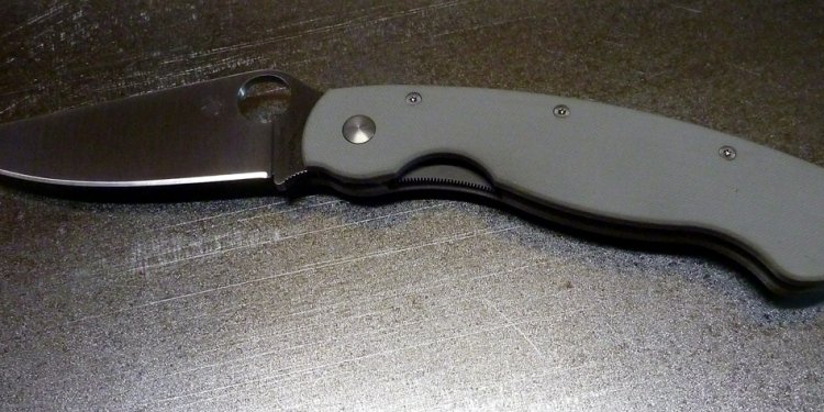 Spyderco Military blade