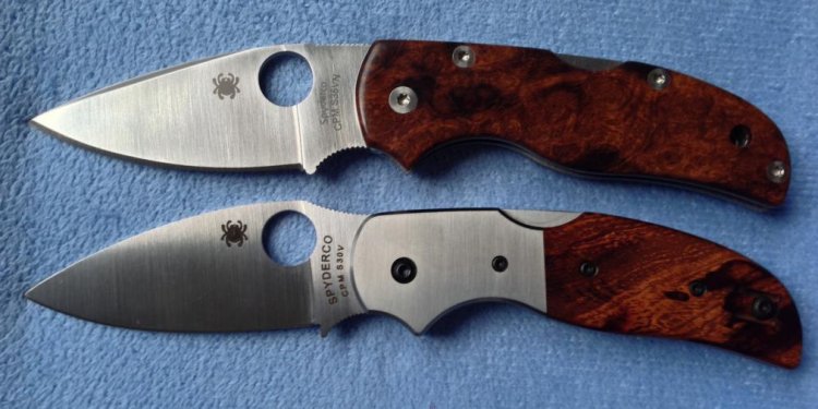 Spyderco sage 4 Gallery