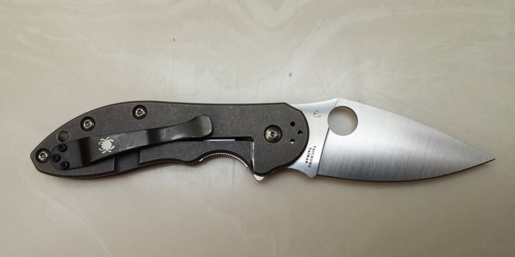 Spyderco Domino Never carried