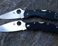 Best Spyderco Knives