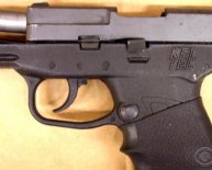 Firearms Auction website