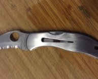 Spyderco Harpy Plain Edge