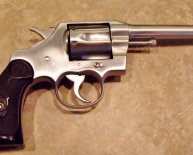 What is a Colt?