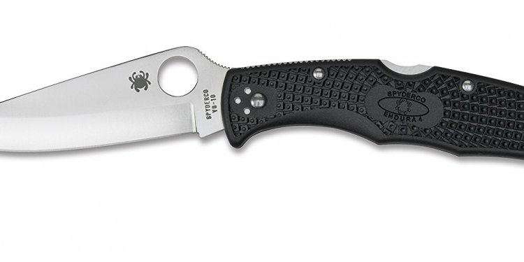 Spyderco Delica color