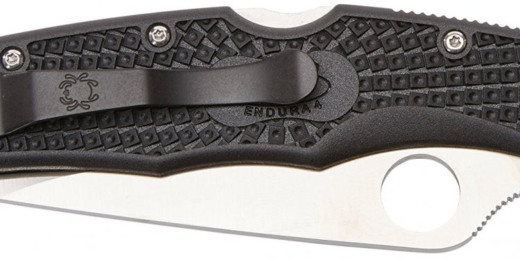 Amazon.com : SPYDERCO Endura 4