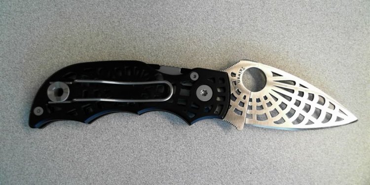 Spyderco Web blade