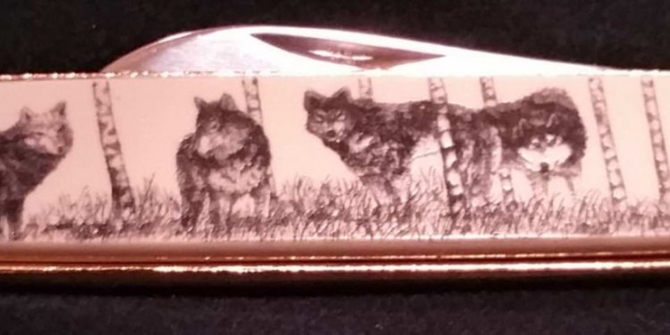Collectible Pocket Knife