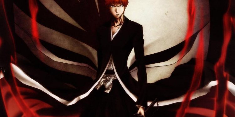 Free shipping,Anime Bleach