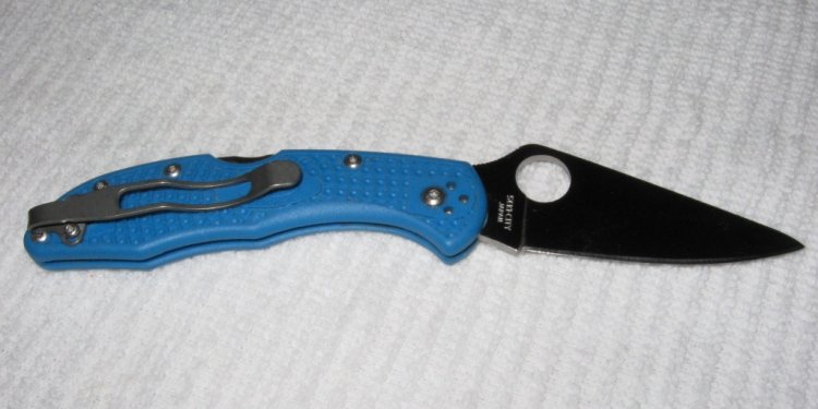 Spyderco Endura clip