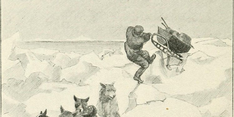 Image from page 187 of With Nansen in the north; a record of the Fram expedition in 1893-96 (1899