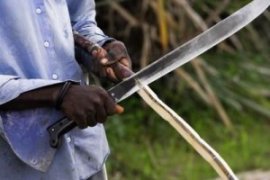 man using a machete to cut wood