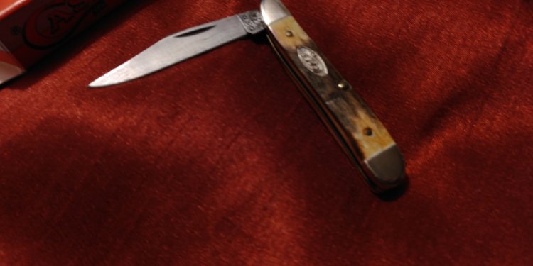 Peanut Case Pocket Knife