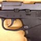 Firearms Auction website