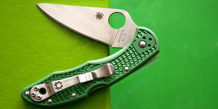 Spyderco EDC Knife