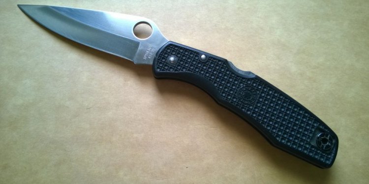 Spyderco Endura knife rare