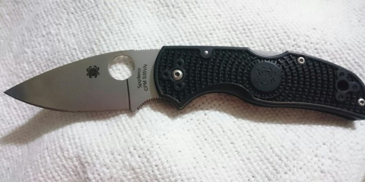 Spyderco Native 2