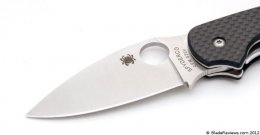 Spyderco Sage 1 - Blade Detail