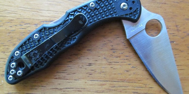 Spyderco Delica clip