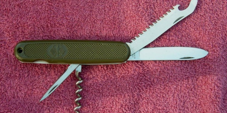 Case Camper knife