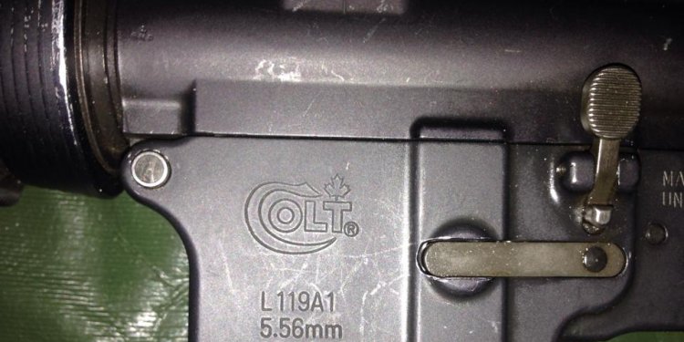 Leaf on the colt symbol